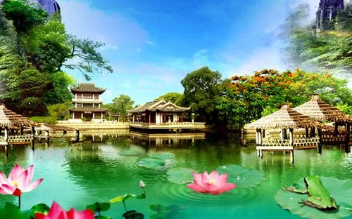 高端高端